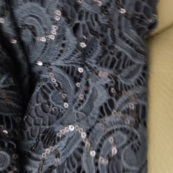 Alex Evenings Petite Long Sleeveless Lace and Sequin Dress Size 12P - Picture 5 of 7